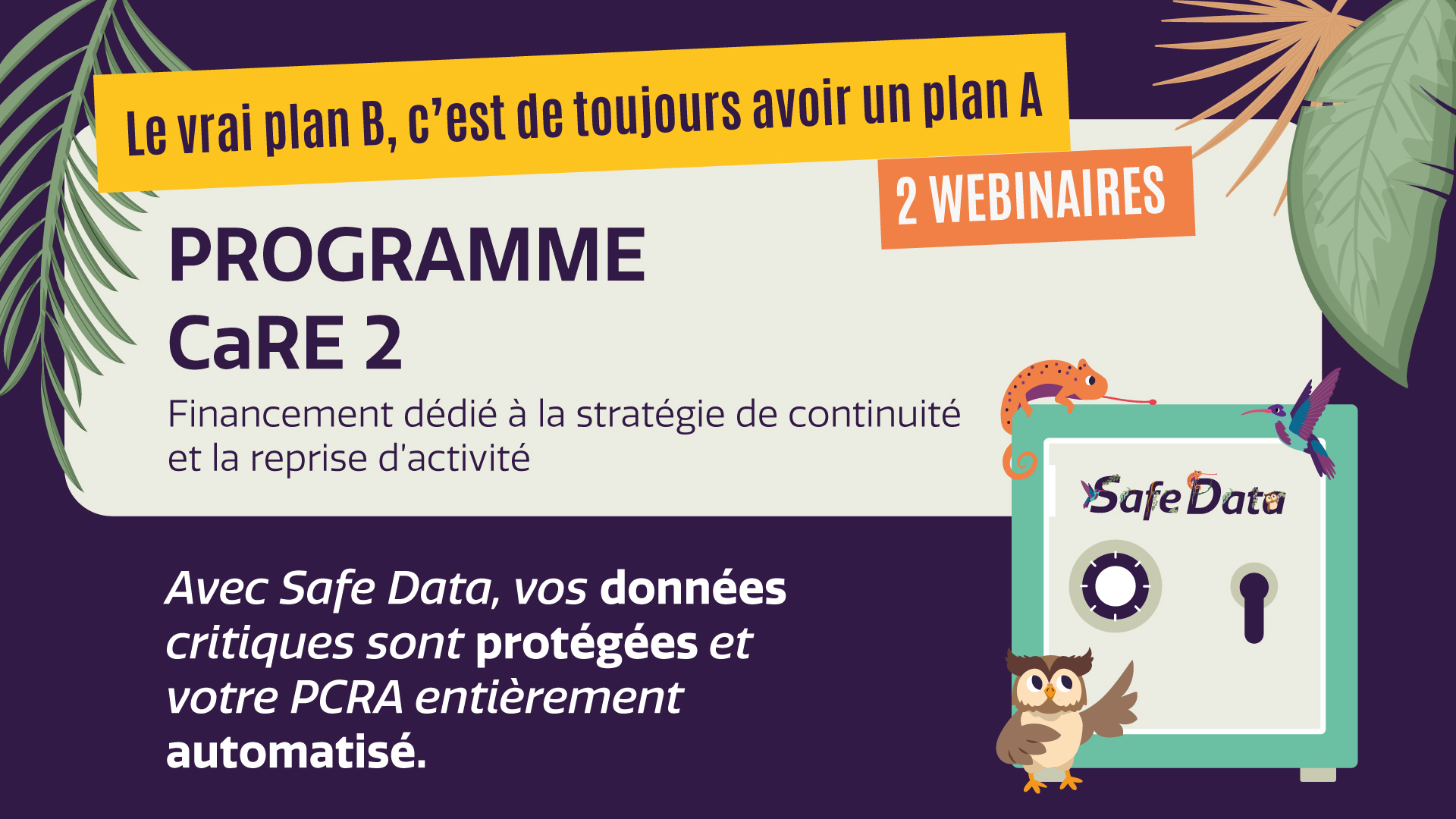 Visuel CaRE 2 webinaires